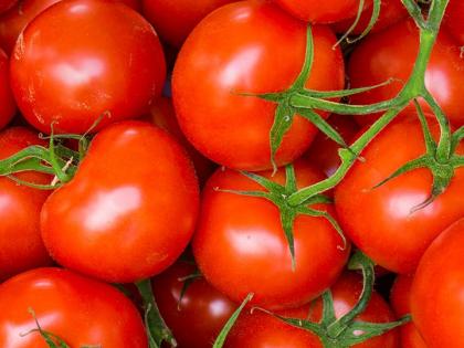  A large influx of tomatoes from the region | परप्रांतातील टमाट्याची मोठी आवक