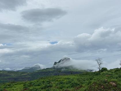 A sheet of fog over Saptashranggad | सप्तशृंगगडावर धुक्याची चादर