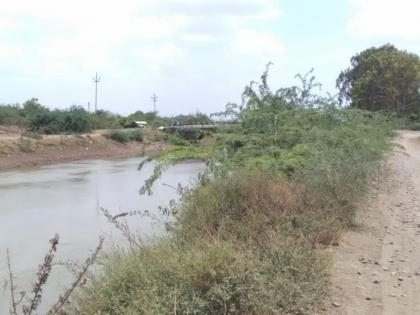 Neera Right canal cracked in a dark place, fear of farmers | नीरा उजव्या कालव्याला वेड्या बाभळीचा विळखा, शेतकऱ्यांमध्ये भीती