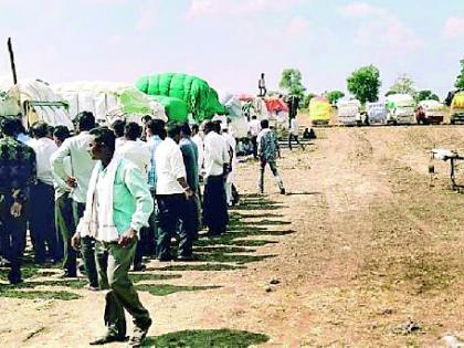 Cotton purchase of 10 thousand quintals in the Seloo market | सेलू बाजारपेठेत १० हजार क्विंटल कापसाची खरेदी