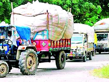 66 thousand quintals of white gold | ६६ हजार क्विंटल पांढऱ्या सोन्याची आवक