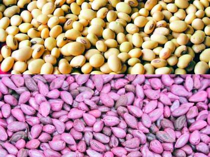 97 thousand 40 quintals of seeds will be required for kharif | खरिपासाठी लागणार 97 हजार 40 क्विंटल बियाणे 97 thousand 40 quintals of seeds will be required for kharif | खरिपासाठी लागणार 97 हजार 40 क्विंटल बियाणे