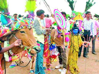 Fifty oxen in the village now instead of five hundred | गावात पाचशेऐवजी आता पन्नासच बैलजोड्या Fifty oxen in the village now instead of five hundred | गावात पाचशेऐवजी आता पन्नासच बैलजोड्या
