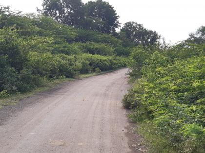 The appearance of a pond on the road in the rainy season | पावसाळ्यात रस्त्याला तळ्याचे स्वरूप