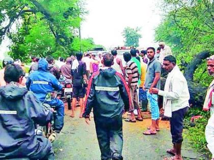 Rains save kharif crops | पावसाने खरिपातील पिकांना जीवदान Rains save kharif crops | पावसाने खरिपातील पिकांना जीवदान