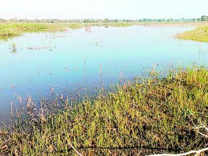 Affordability of water supply in the city even after the water of Bembal reaches Yavatmal | बेंबळाचे पाणी यवतमाळात पोहोचूनही शहरात पाणीपुरवठ्याची परवड