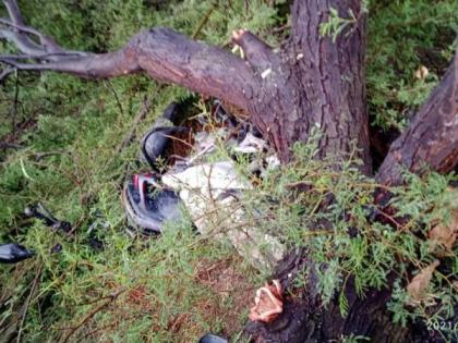 A two-wheeler rider was injured when a tree fell due to a lightning strike | वीज कोसळल्याने झाड पडून दुचाकीस्वार जखमी