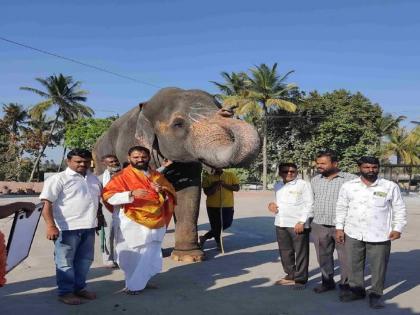 Mahadevi elephant from Nandani Math in Kolhapur district will be sent to Gujarat | कोल्हापूर जिल्ह्यातील नांदणी मठाकडील ‘महादेवी’ पाठवणार गुजरातला