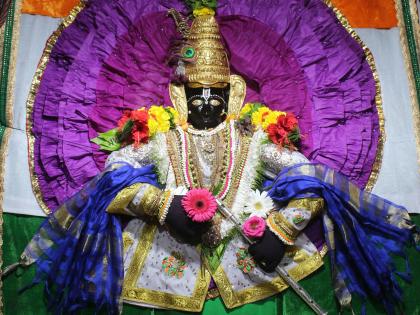 Kolhapur: The Jatibachi of the eighth house, Shrikrushna, as Shrinkarth Mahapooja | कोल्हापूर : आठव्या माळेला जोतिबाची श्री.कृष्ण रूपात सालंकृत महापूजा