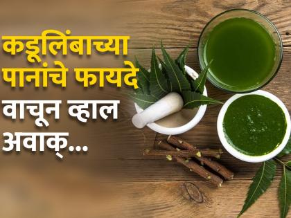 Ayurveda Dr told health benefits of Neem leaves and uses | पानांपासून ते सालीपर्यंत, 'या' झाडाचे होतात अनेक फायदे, आयुर्वेदिक डॉक्टरांनी सांगितले फायदे