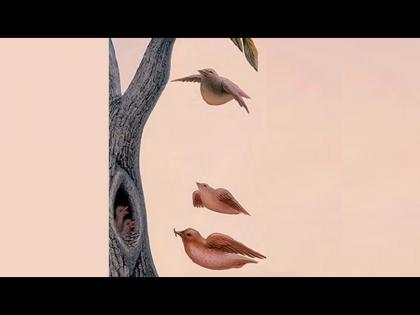 Optical illusion : Hidden photo of birds and female face find personality test | Optical Illusion: या फोटोत तुम्हाला आधी काय दिसलं? त्यावरून होतो तुमच्या पर्सनॅलिटीबाबत खुलासा