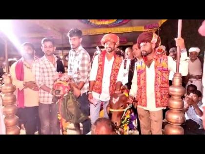 Bull and cow marriage in khargone Madhya Pradesh | अनोखं लग्न! गाय बनली नवरी अन् बैल बनला नवरदेव, 50 गावातील लोक घेऊन आले वरात