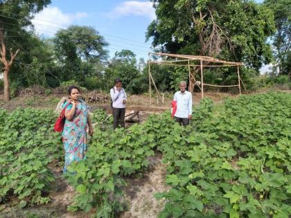 Help to farmer lower than crop loss | नुकसान मोठे; मदत तुटपुंजी!