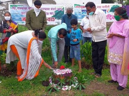 Birthday of the trees celebrated by cutting the dung cake | शेणाचा केक कापून साजरा केला झाडांचा वाढदिवस