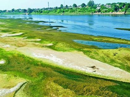 The water flows through the Wainganga river | वैनगंगा नदीत वाहते दूषित पाणी