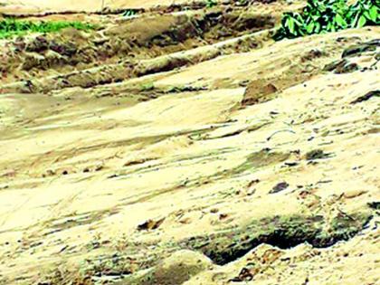 Illegal mining of cottage sand in Tumsar taluka | तुमसर तालुक्यात कोट्यवधींच्या रेतीचे अवैध खनन