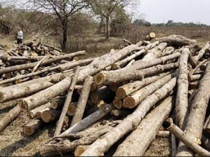 Chandrapur district seizes teak wood of 16 lakh | चंद्रपूर जिल्ह्यात १६ लाखांचे सागवान लाकूड जप्त