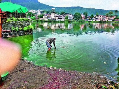 Citizen's crowd to see dead fish | मृत मासे बघण्यासाठी नागरिकांची गर्दी