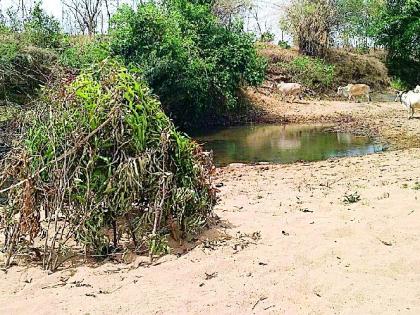 Traps near the waterfall for hunting of birds | पक्ष्यांच्या शिकारीसाठी पाणवठ्याजवळ सापळे