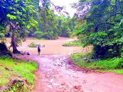 Due to lack of Devada bridge, the distance is 45 km | देवदा पुलाअभावी ४५ किमींचा होतो फेरा Due to lack of Devada bridge, the distance is 45 km | देवदा पुलाअभावी ४५ किमींचा होतो फेरा