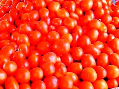 Everyone's eyes are red when they see the price of tomatoes | टमाट्यांचे दर पाहून सर्वसामान्यांचे डोळे लाल