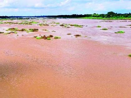 The Wainganga River overflowed | वैनगंगा नदी दुथडी भरली