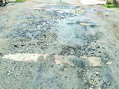 Stool in the streets in the city | शहरातील रस्त्यांना मलम्याचा मुलामा