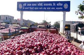 Farmers quarantine onions | शेतकऱ्यांनो कांदा कॉरन्टाइन करा