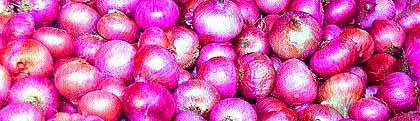 District Collector's order: Confusion prevails over locked onion auction at Lasalgaon, Satana, Nampur | जिल्हाधिकाºयांचे आदेश : लासलगाव, सटाणा, नामपूर येथे बंद कांदा लिलावाबाबत संभ्रम कायम