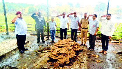 'Human Services' in Kolhapur, honoring the dead body of the deceased | मृताचा अंत्यविधी सन्मानपूर्वक करणारी कोल्हापुरातील ‘मानवसेवा’