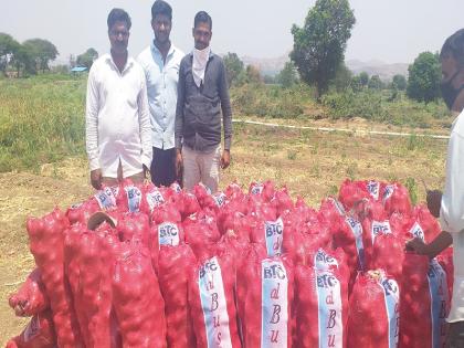 Three thousand bags of Kotol onion to Dubai | कोतूळचा तीन हजार गोणी कांदा दुबईला