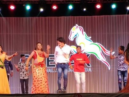  Finding horses in Sarangkheda crosses the two-crore mark | सारंगखेड्यातील घोडे बाजारात पावणे दोन कोटींचा टप्पा पार