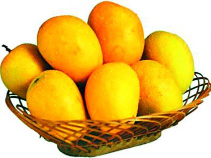 The 'sweet' of mangoes will grow this year | आंब्यांचा ‘गोडवा’ यंदा वाढणार