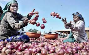 Onion market prices stable in Yeola | येवल्यात कांदा बाजारभाव स्थिर