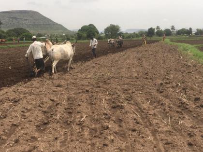 Otur begins sowing of kharif crops | ओतूरला खरीप पिकांच्या पेरणीला सुरुवात