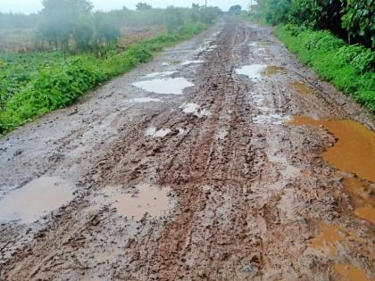 The road from Songaon to Karanjgaon was damaged due to potholes | सोनगाव ते करंजगाव रस्त्याची खड्ड्यांनी झाली दुर्दशा