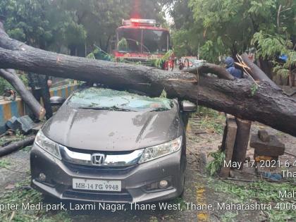 Shocking! A tree fell on a moving car in Thane: The doctor was safely released from the car | धक्कादायक! ठाण्यात चालत्या कारवर झाड कोसळले: कारमधील डॉक्टरची सुखरुप सुटका