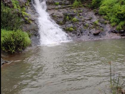 Crowd to Sinnar to experience nature! | निसर्ग अनुभवण्यासाठी सिन्नरला गर्दी !