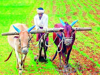 The walking of farmers in the sub-division will stop for paperwork | कागदपत्रांकरिता उपविभागातील शेतकऱ्यांची पायपीट थांबणार