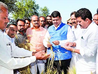 Speaking of farmers | शेतकऱ्यांची बोळवण