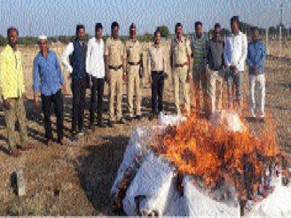 Gatka destroyed in Gehaira 29 lakhs | गेवराईत २९ लाखांचा गुटखा नष्ट