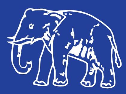 Who will ride on the BSP's elephant in Nagpur-Ramtek? | नागपूर-रामटेकमध्ये बसपाच्या हत्तीची ‘स्वारी’ कोण करणार?