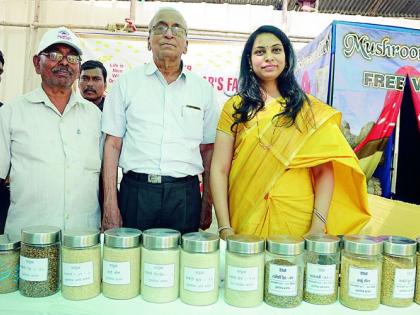 Research of wheat yielding 27 quintals per acre | एकरी २७ क्विंटल उत्पादन देणाऱ्या धानाचे संशोधन