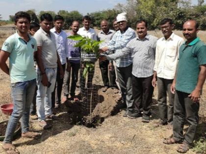 Planted mango tree made in the cemetery | स्मशानभूमीत केली आंबे वृक्ष लागवड Planted mango tree made in the cemetery | स्मशानभूमीत केली आंबे वृक्ष लागवड