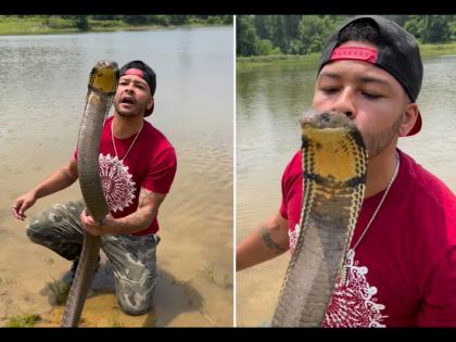 Man kissing king cobra people shock after watching video | King Cobra: किंग कोब्राला पकडून केलं किस, व्हिडीओ पाहून हैराण झाले लोक!