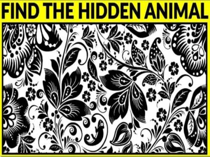 optical Illusion : do you see any animal in this picture | Optical Illusion : या डिझाइनमध्ये तुम्हाला शोधायचा आहे प्राणी, 10 सेकंदात उत्तर देणारा ठरेल सुपर जीनिअस