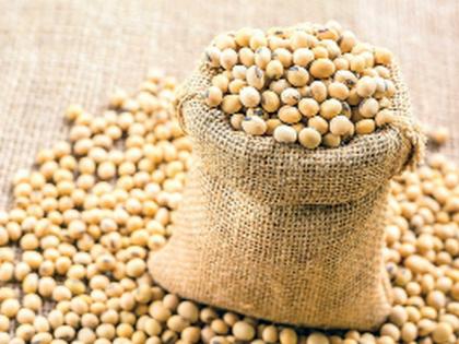 Take action against companies in bogus seed cases | बोगस बियाणे प्रकरणी कंपन्यांवर कारवाई करा