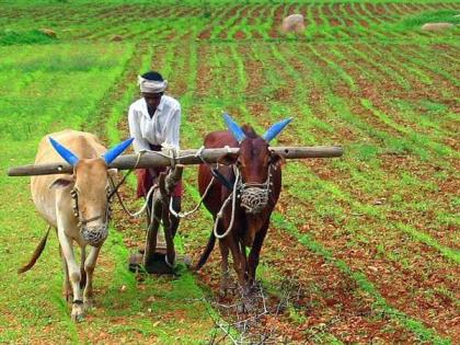 Sowing in the district stops at 60 percent! | जिल्ह्यातील पेरण्या ६० टक्क्यावर थांबल्या ! Sowing in the district stops at 60 percent! | जिल्ह्यातील पेरण्या ६० टक्क्यावर थांबल्या !