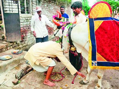 Pola ‘Lockdown’ | पोळा ‘लॉकडाऊन’