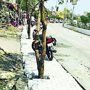 The breathless breath of the trees | झाडांचा गुदमरतोय श्वास